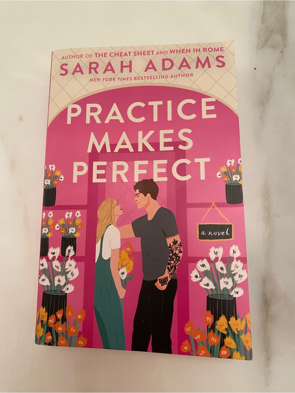 Target Pink 'Practice Makes Perfect' Novel by Sarah Adams